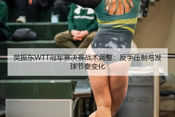 樊振东WTT冠军赛决赛战术调整：反手压制与发球节奏变化