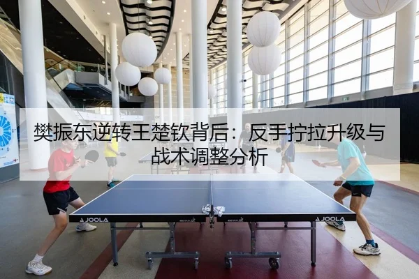 fan-zhen-dong-ni-zhuan-wang-chu-qin-bei-hou-fan-shou-ning-la-sheng-ji-yu-zhan-shu-tiao-zheng-fen-xi-2-382.jpg